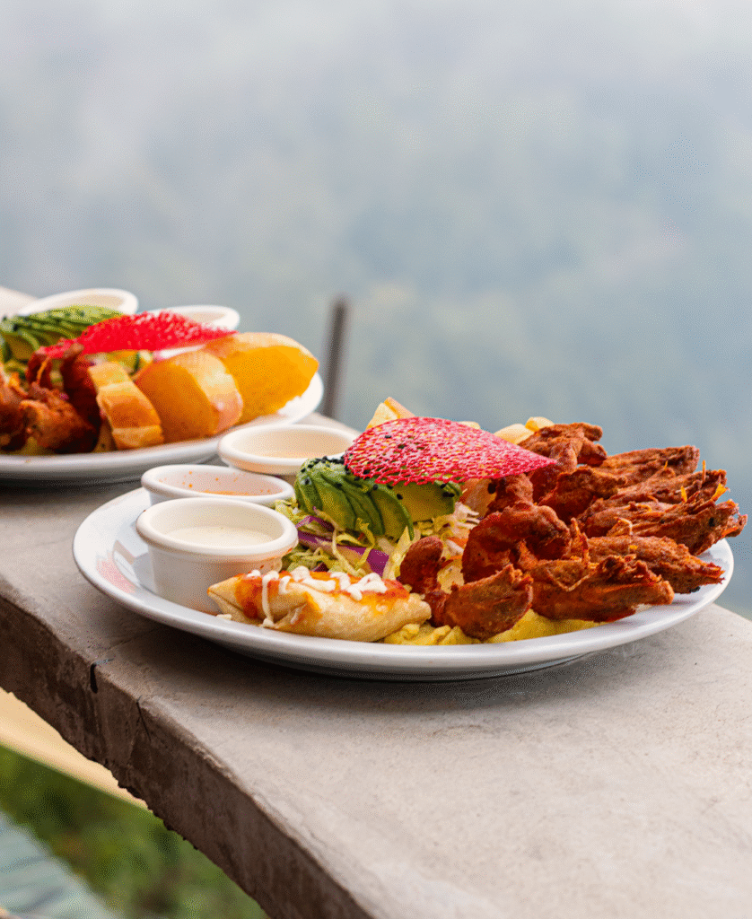 ALTAMIRA PROMO ANDRE CR 01